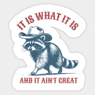 It Is What It Is And It Ain't Great Raccoon Sarcastic Sticker